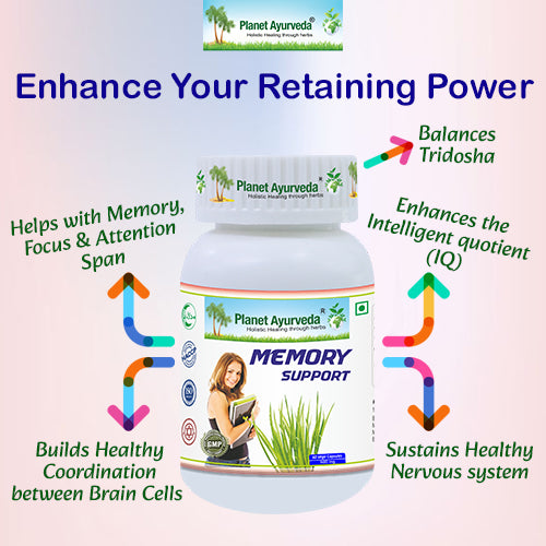 MEMORY SUPPORT