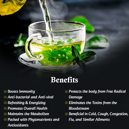 TULSI GREEN TEA