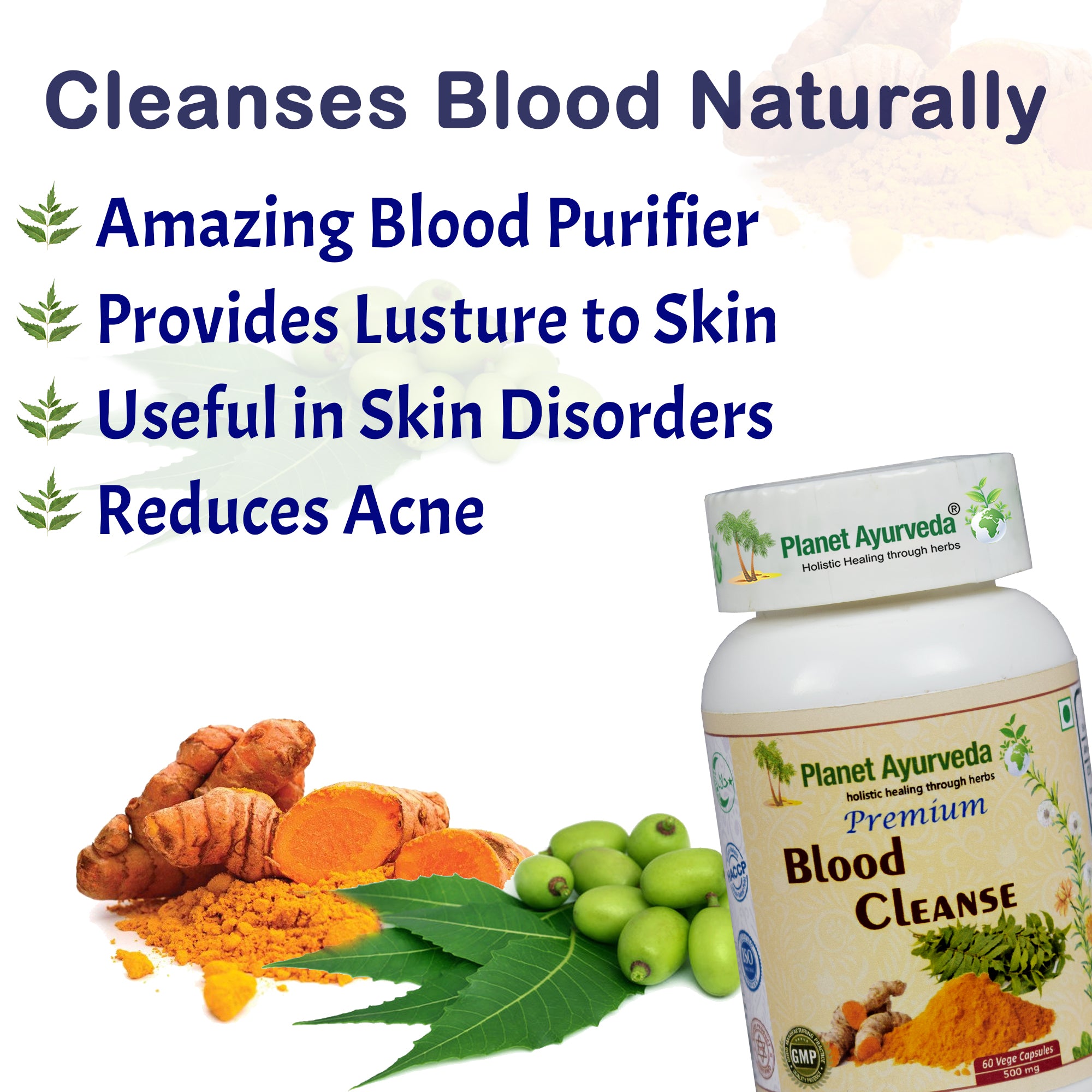 PREMIUM BLOOD CLEANSE