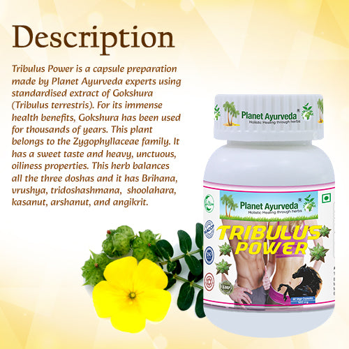 TRIBULUS POWER