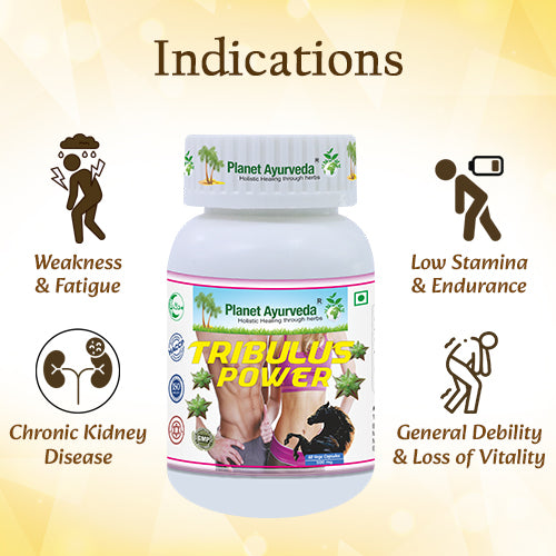 TRIBULUS POWER