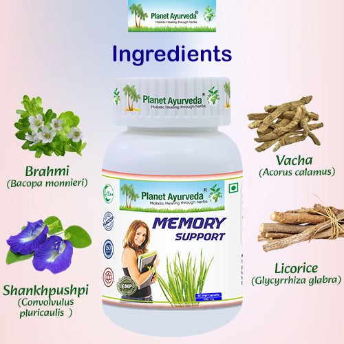 MEMORY SUPPORT