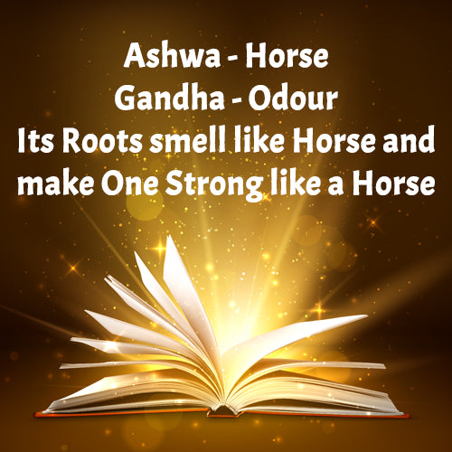 ASHWAGANDHA CAPSULES