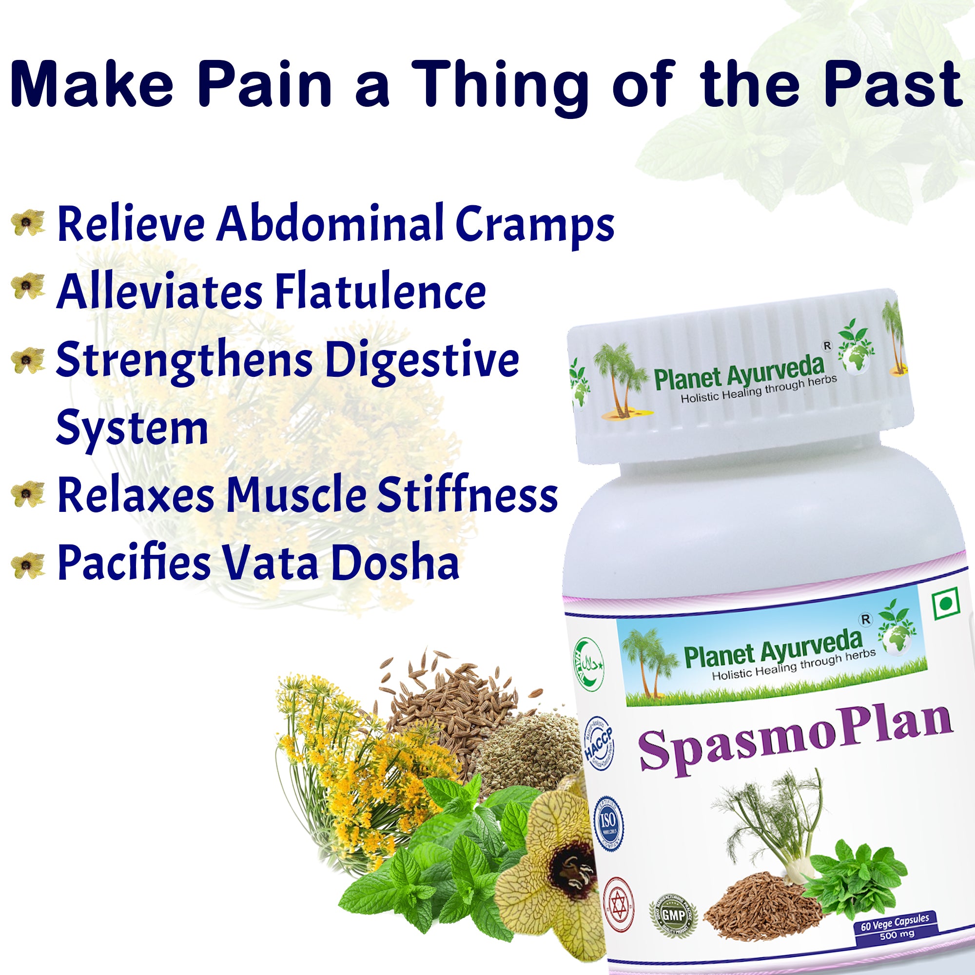 SPASMOPLAN CAPSULES