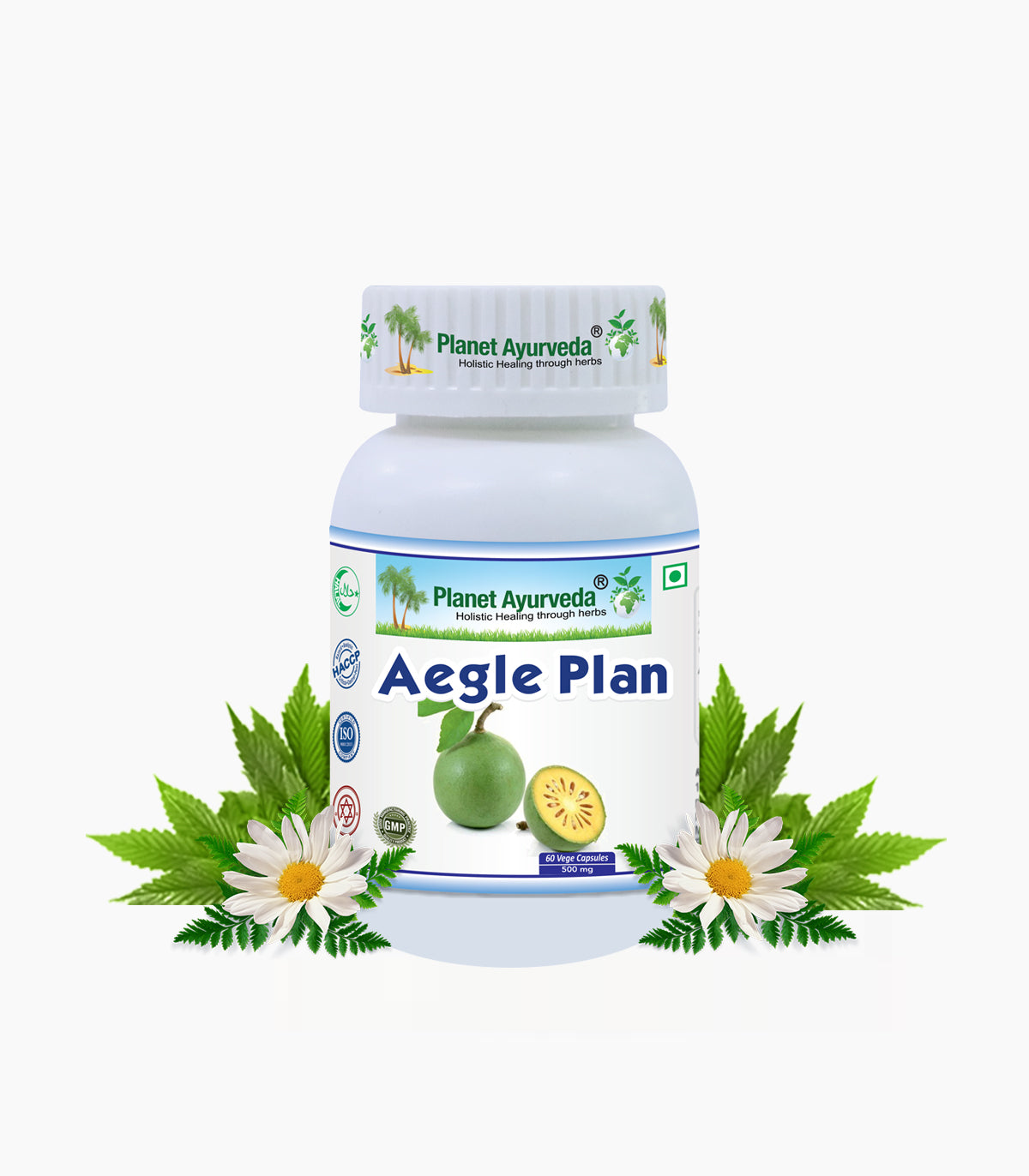 AEGLE PLAN CAPSULES