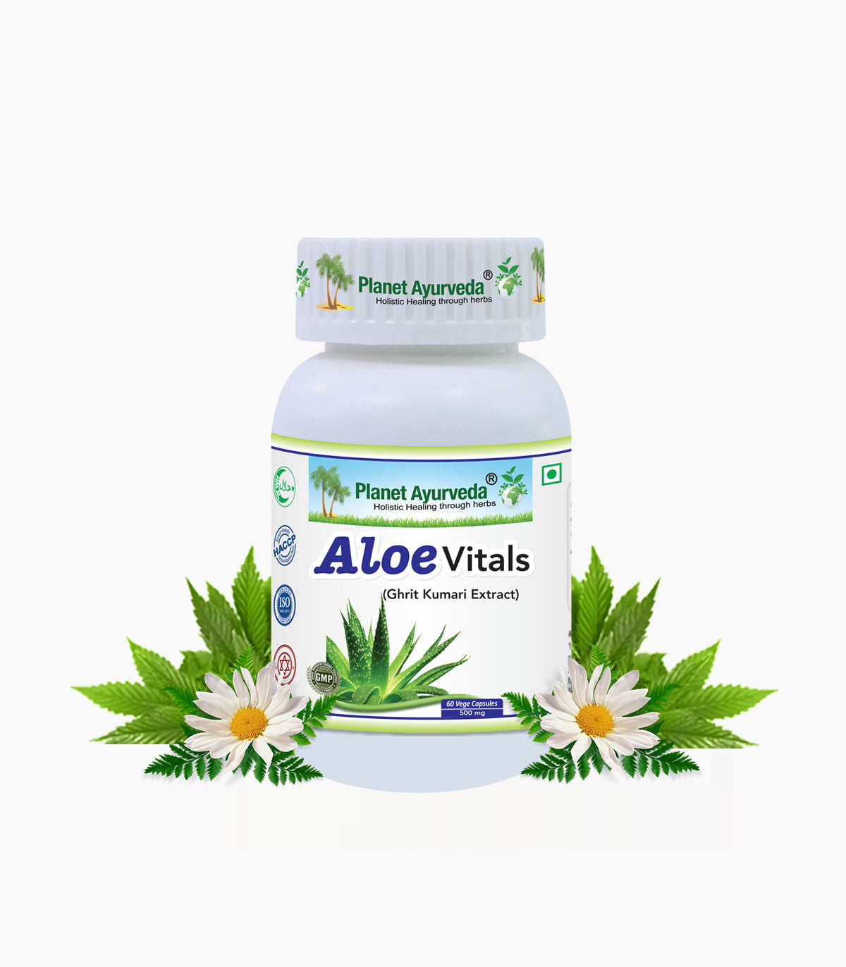 ALOE VITALS