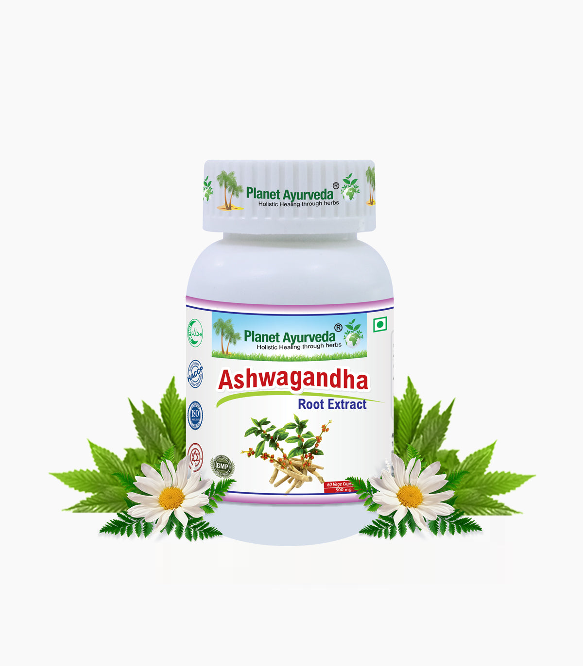 ASHWAGANDHA CAPSULES