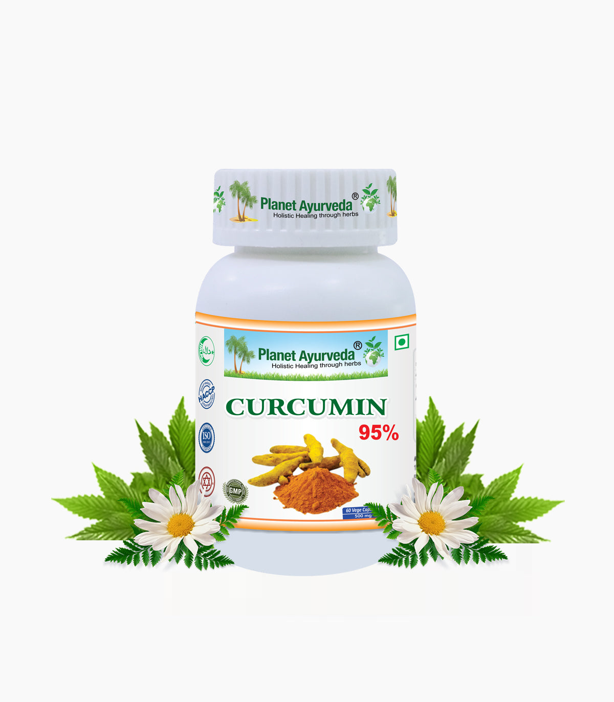 CURCUMIN 95% CAPSULES