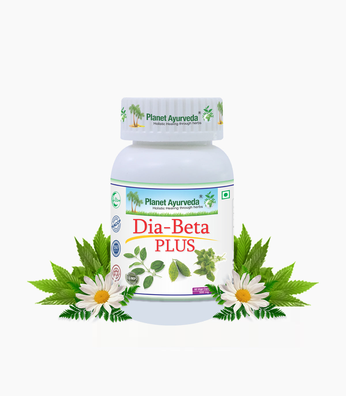 DIA-BETA PLUS