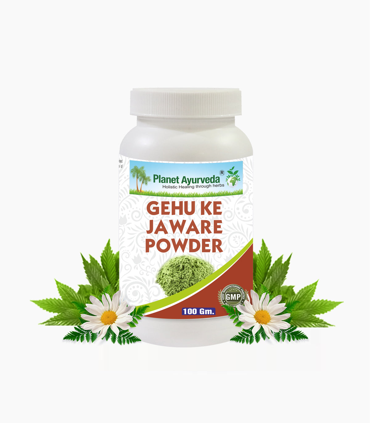 GEHU KE JAWARE POWDER