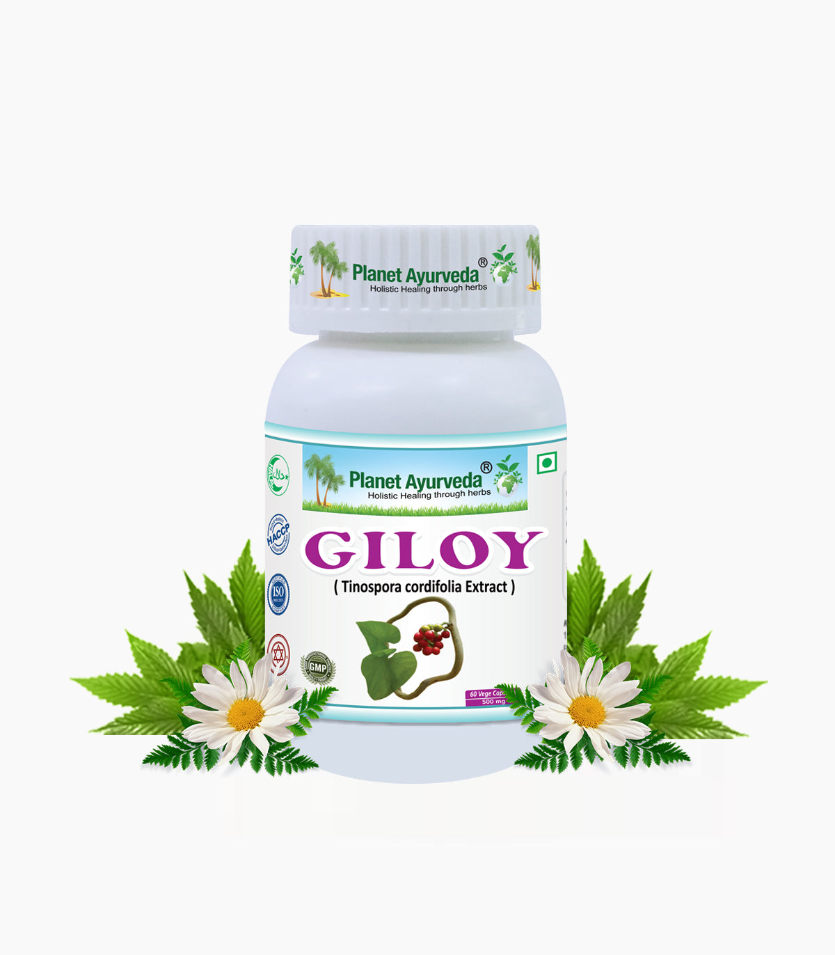 GILOY CAPSULES