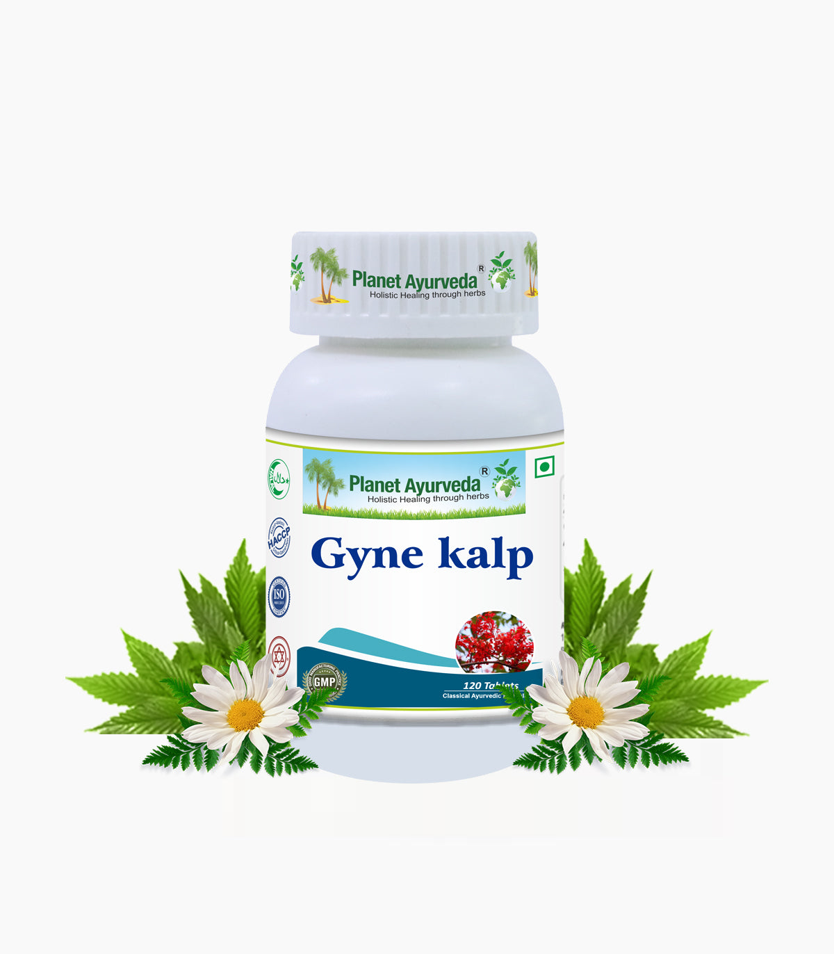 GYNE KALP