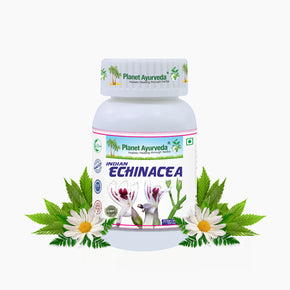INDIAN ECHINACEA