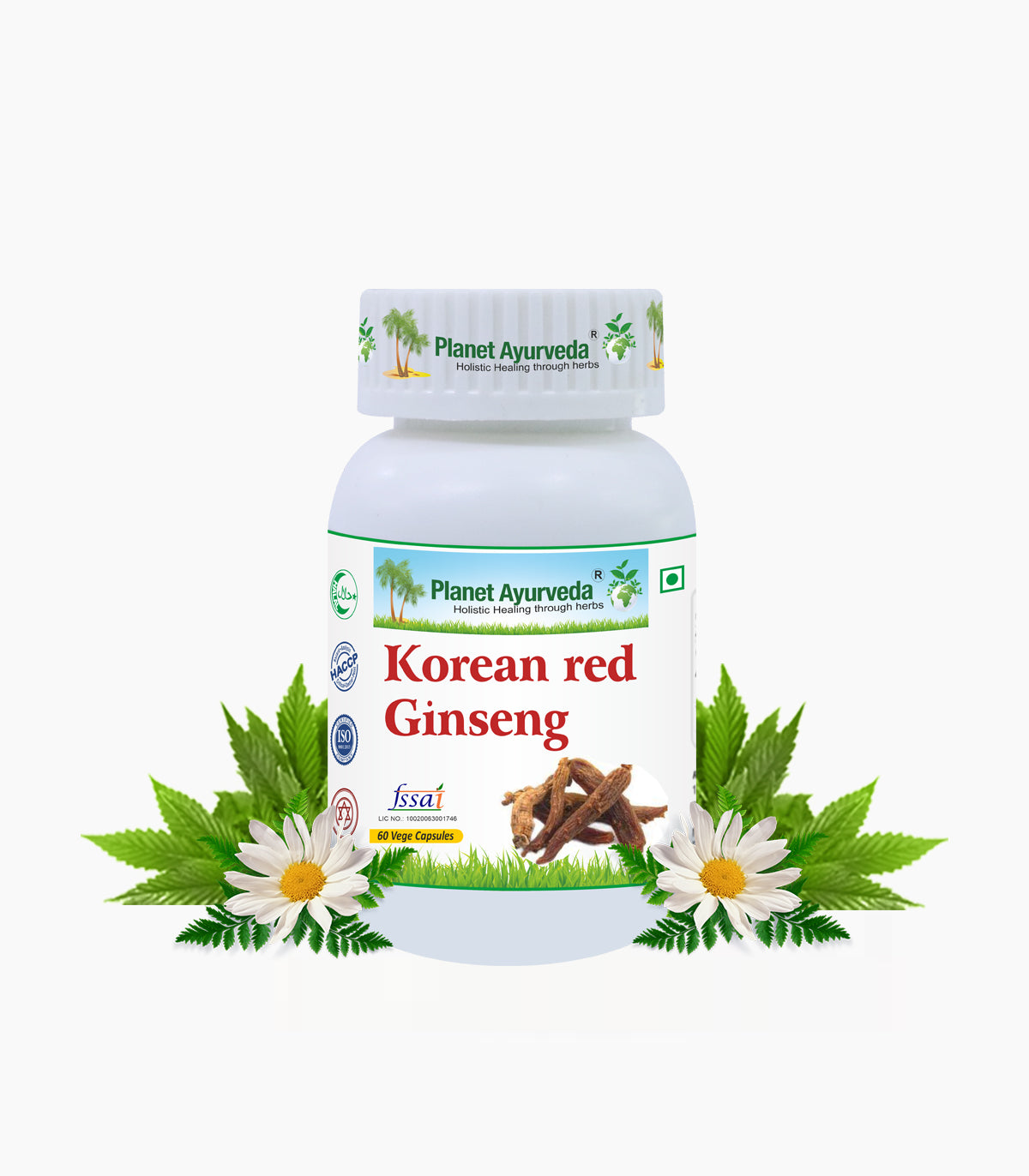 KOREAN RED GINSENG