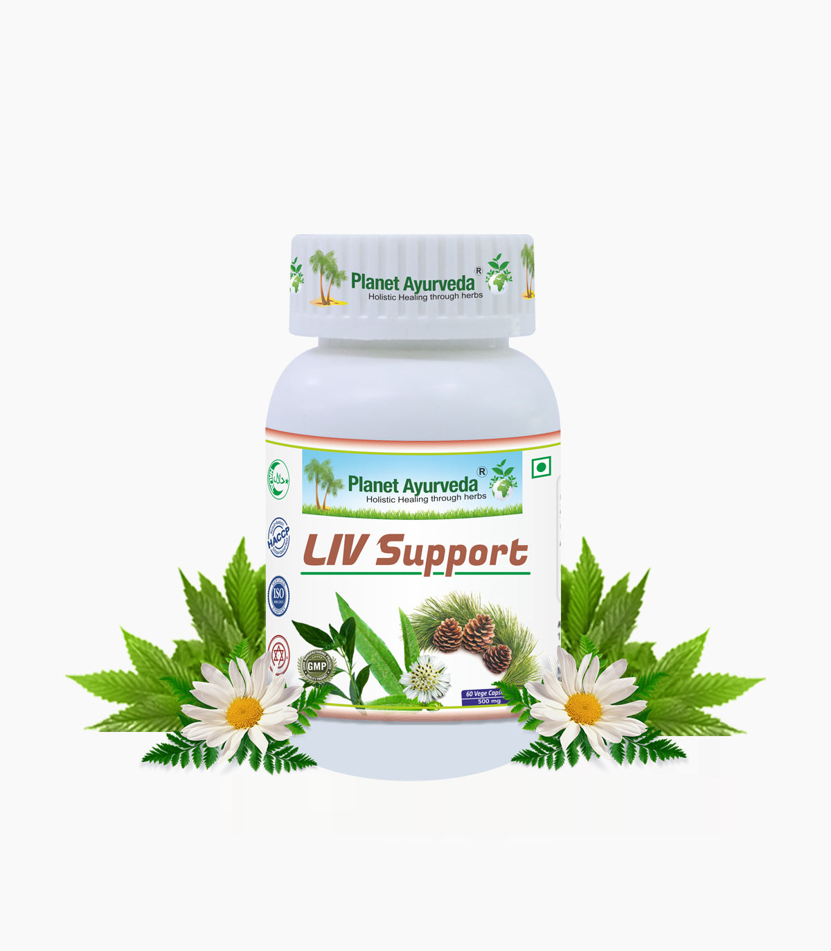 LIV SUPPORT