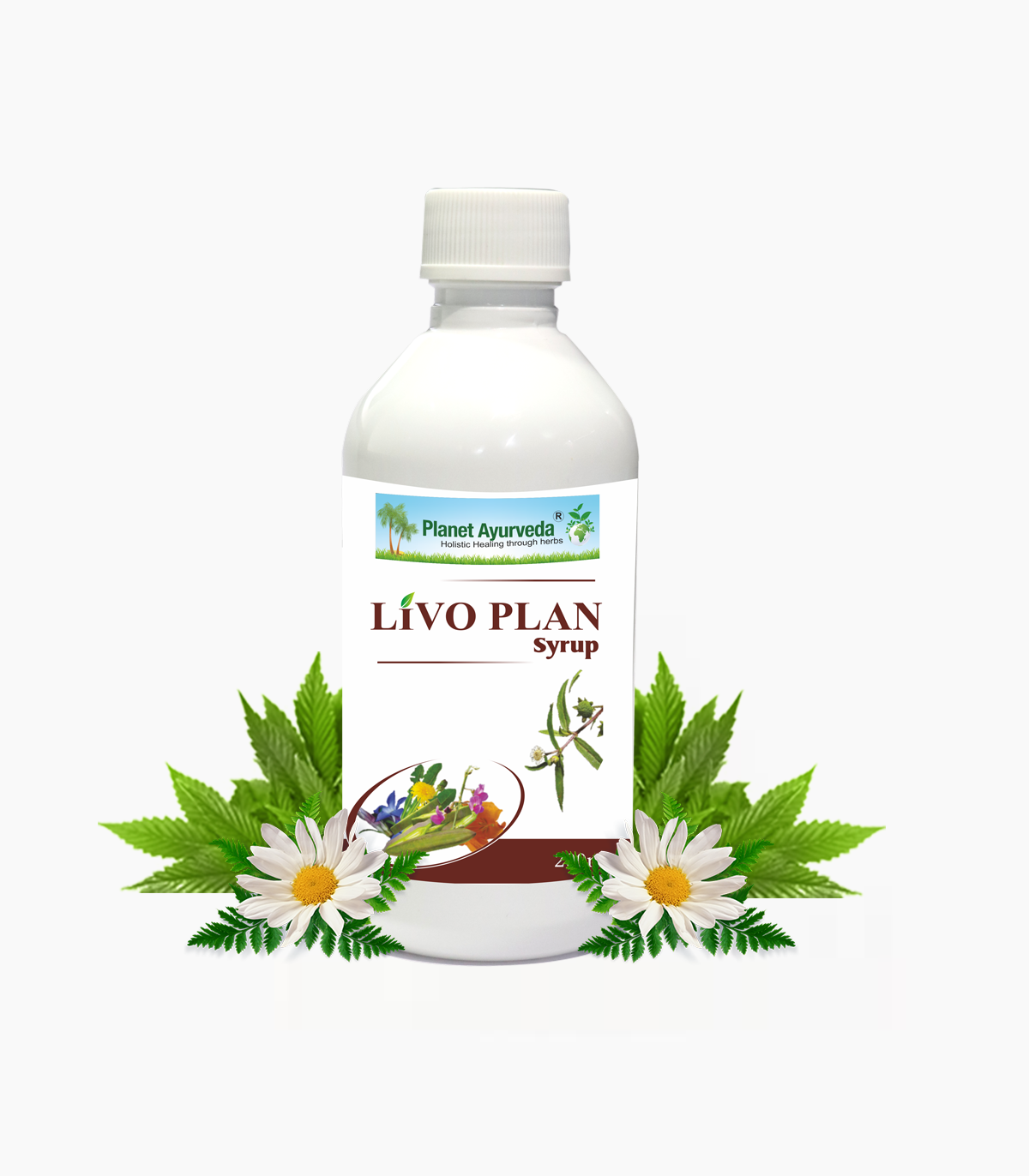 LIVO PLAN SYRUP