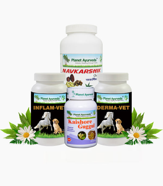 Ayurveda LSD Care Pack Herbal Remedies for Lumpy Skin Disease