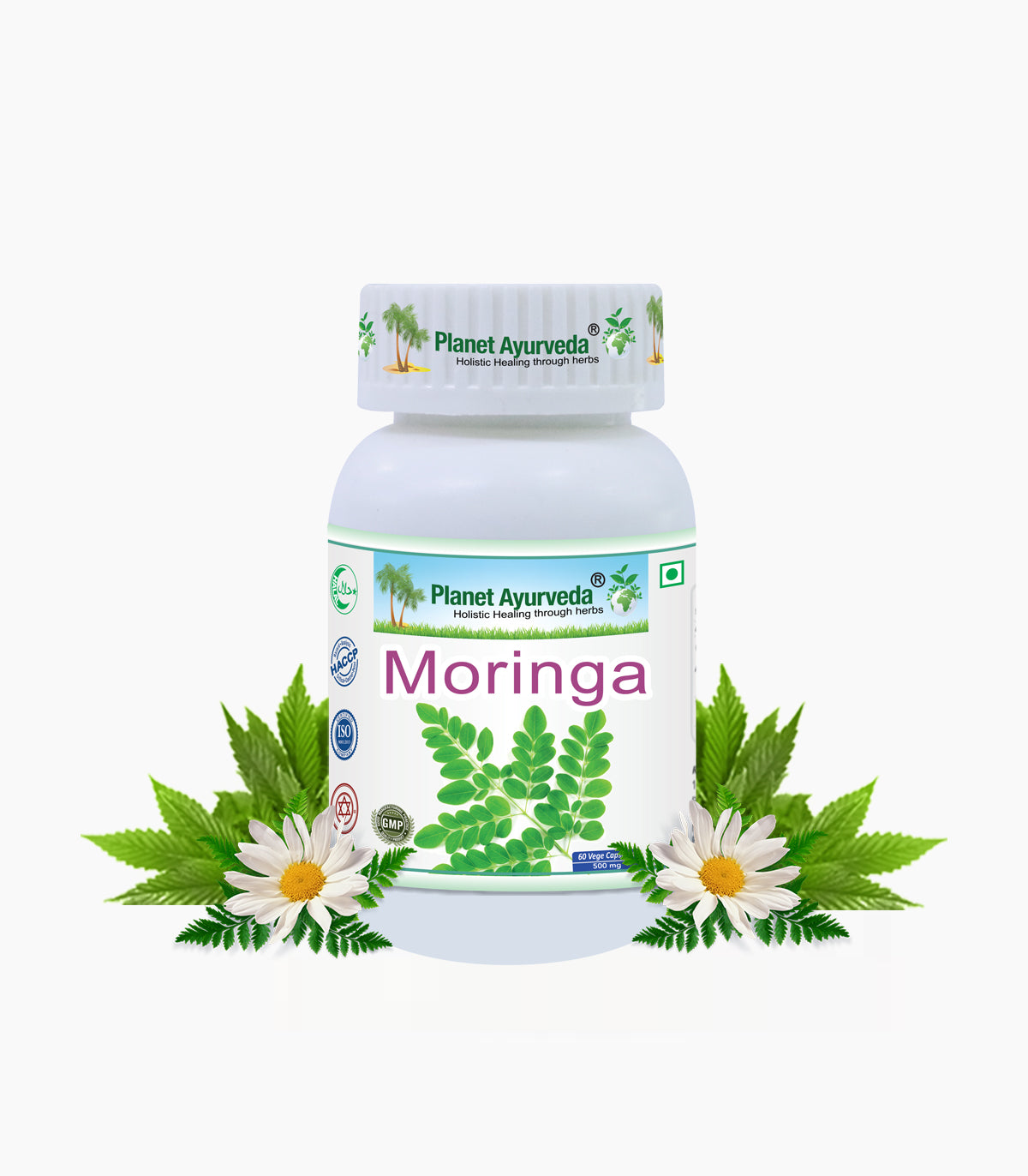 MORINGA CAPSULES