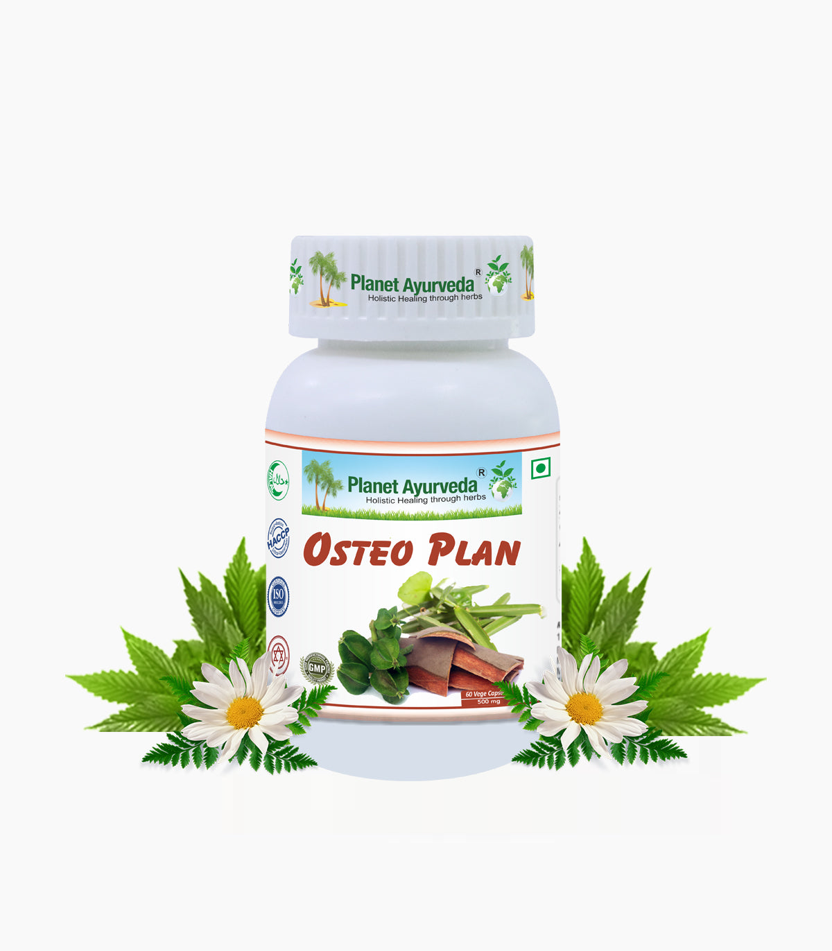 OSTEO PLAN CAPSULES
