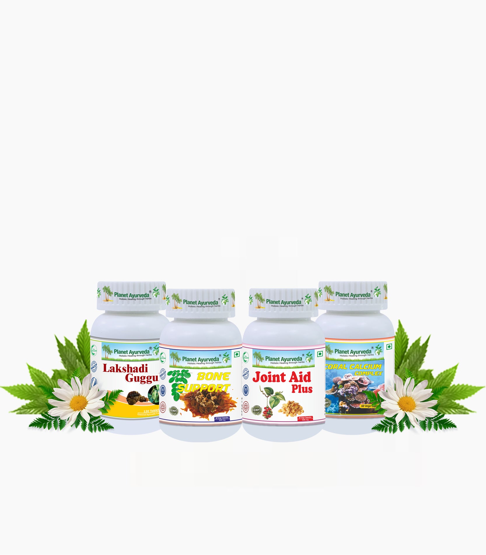 OA (OSTEOARTHRITIS) CARE PACK