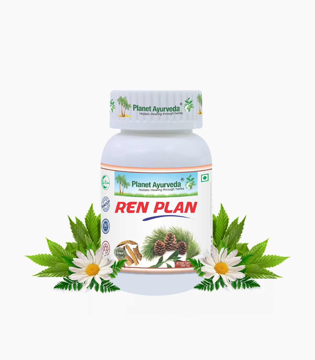 REN PLAN CAPSULES