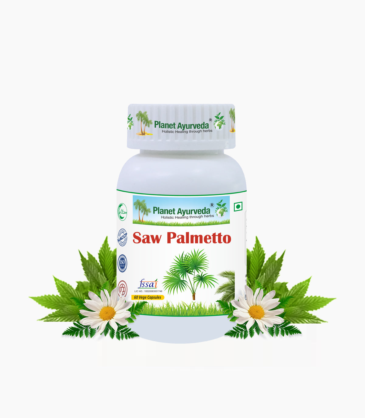 SAW PALMETTO CAPSULES