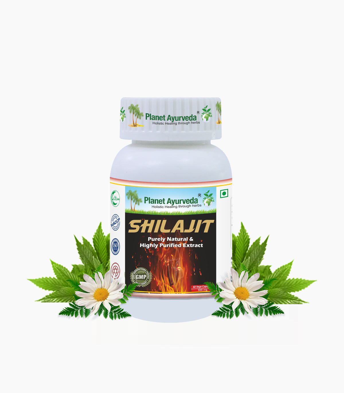 SHILAJIT CAPSULES