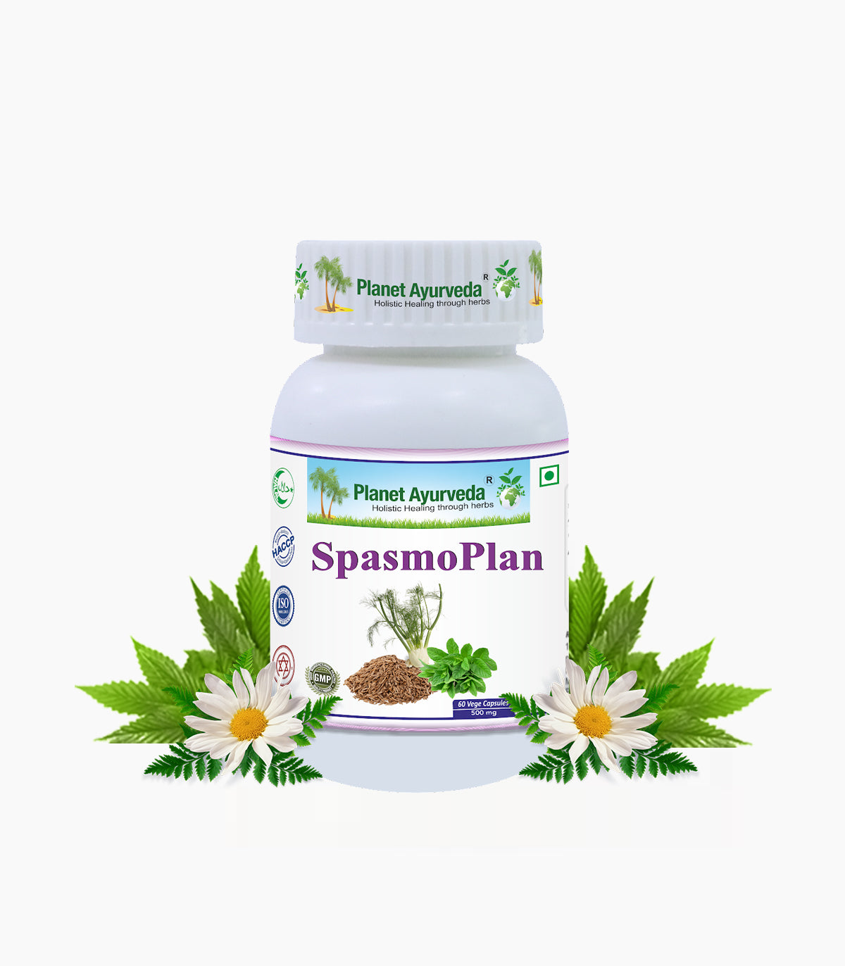 SPASMOPLAN CAPSULES