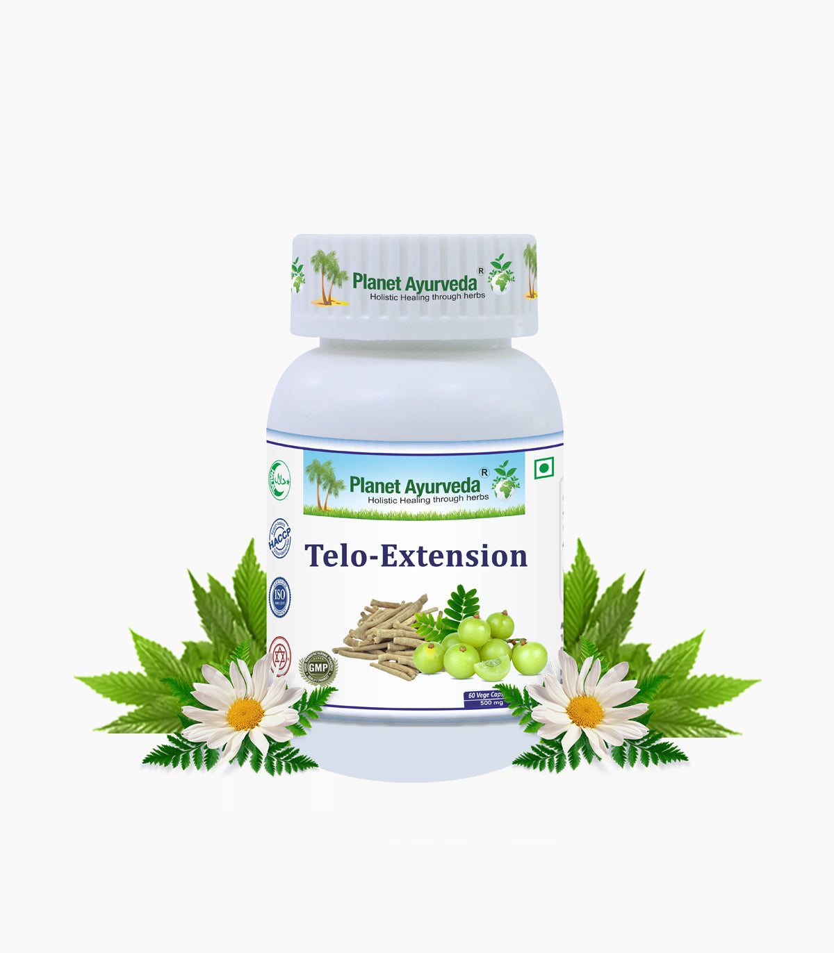 TELO-EXTENSION