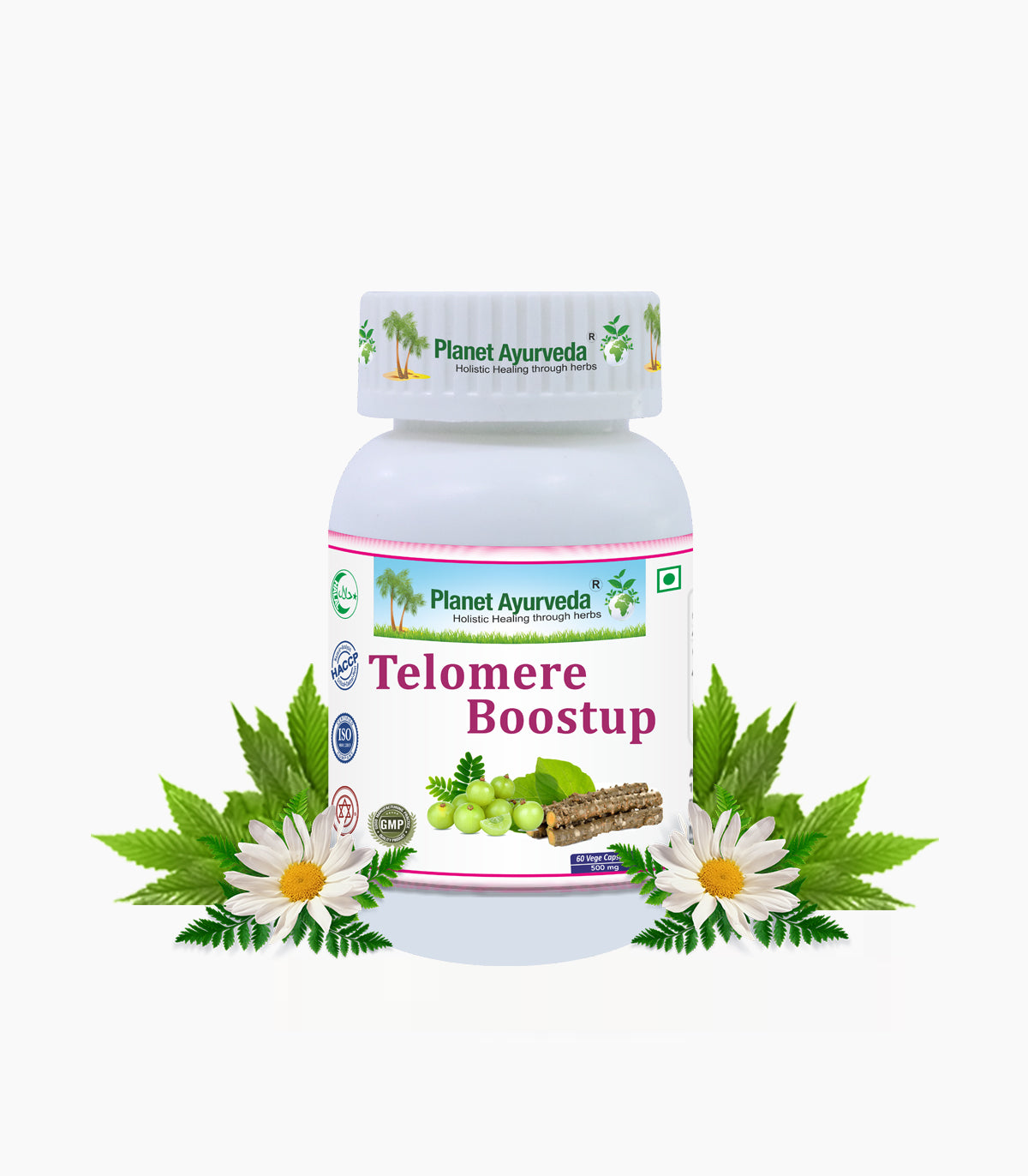 TELOMERE BOOSTUP