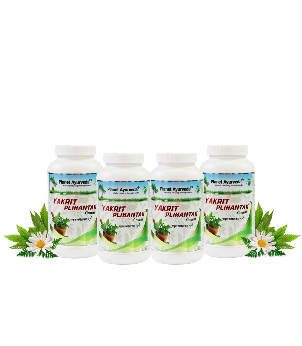 YAKRIT PLIHANTAK CHURNA - PACK OF 4 (200 GM EACH)