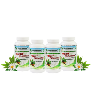 YAKRIT PLIHANTAK CHURNA - PACK OF 4 (200 GM EACH)