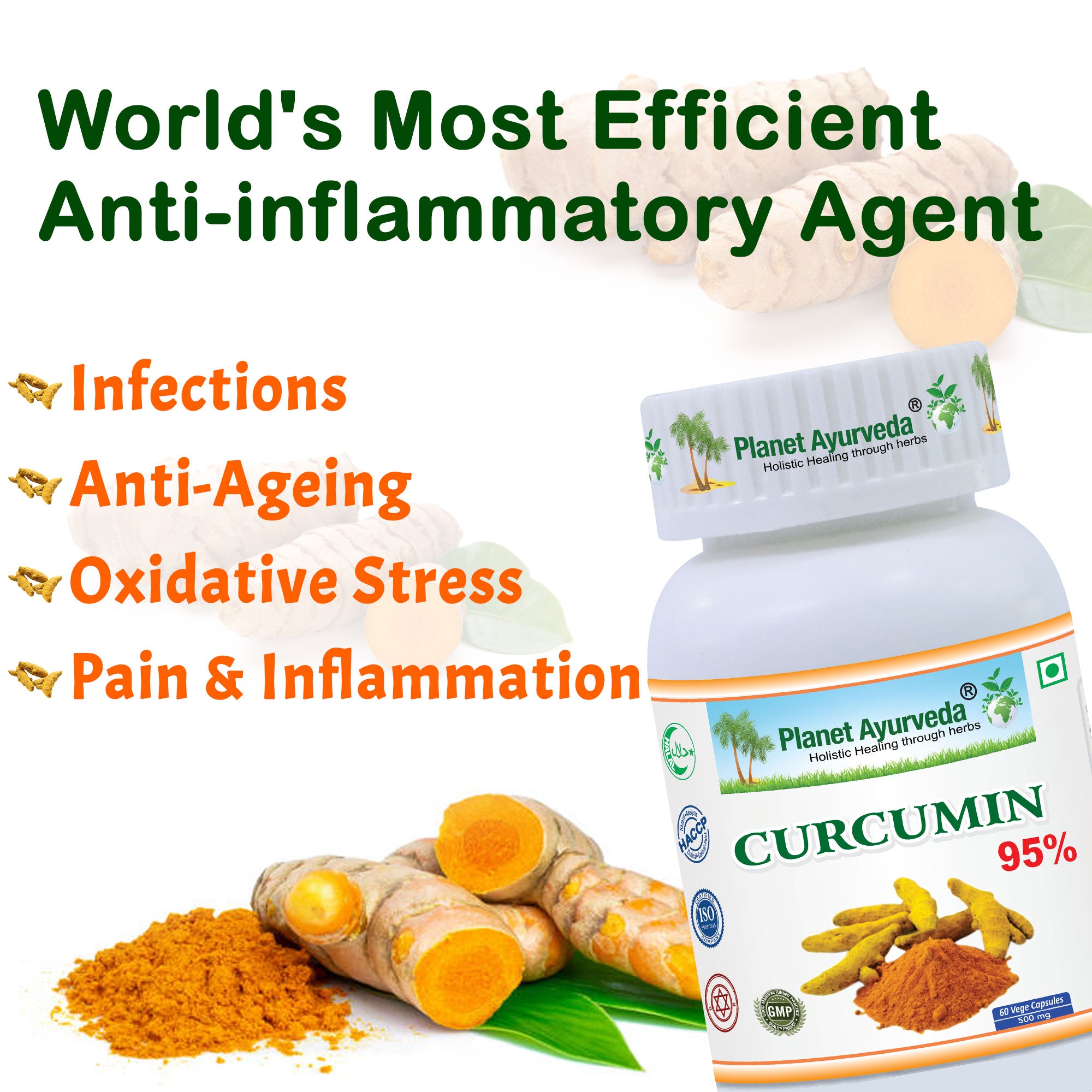 CURCUMIN 95% CAPSULES