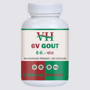 6v Gout (60 Capsules)