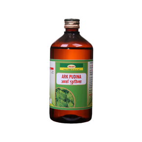 Seva Sadan Ark Pudina (450 ML)