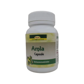 Shri Ayurved Seva Sadan Amla Capsule (60 CAP)