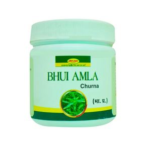 Shri Ayurved Seva Sadan Bhui Amla Churna (100 GM)