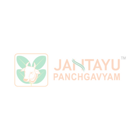 JANTAYU BALAGUDUCHYADI TAILAM (PACK OF 3)