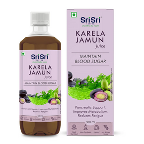 SRI SRI TATTVA KARELA JAMUN JUICE - PACK OF 2 (500 ML EACH)