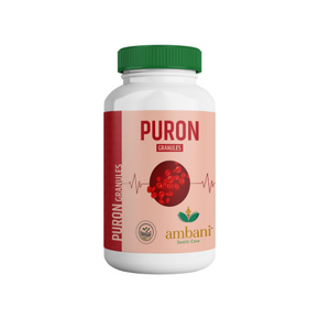 Ambani Health Care Puron Granules (100 GM)