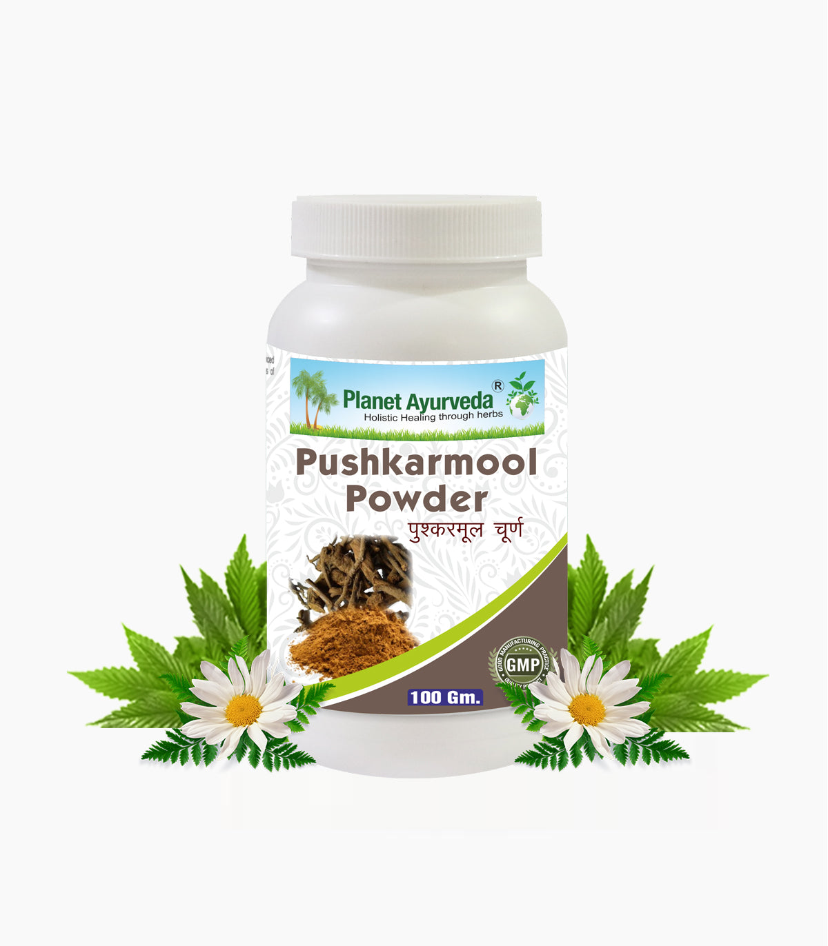 Planet Ayurveda Pushkarmool Powder - Usage, Dosage and Benefits