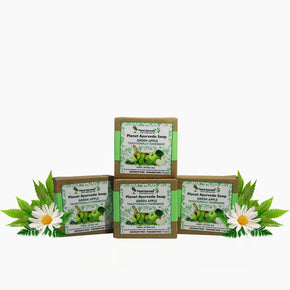 PLANET AYURVEDA GREEN APPLE SOAP (PACK OF 4)